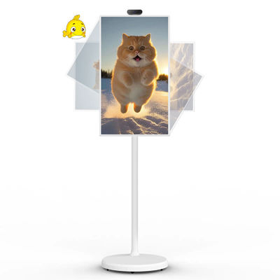jakość  21" Android 12 System Stand By Me TV Smart Broadcast Machine Touch Screen fabryka